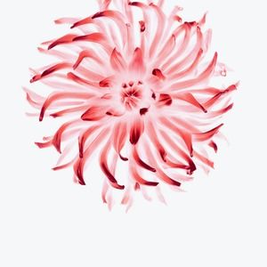 Meet your Posher, Xxx